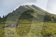 FEATURE - Schweiz: Der Col de Jaman