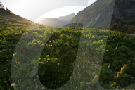 FEATURE - Schweiz: Der Col de Jaman