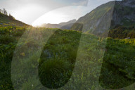 FEATURE - Schweiz: Der Col de Jaman