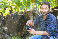 FEATURE - Schweiz: Weinlese im Bleniotal im Tessin Winzer Marco Tavecchio