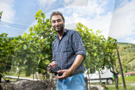FEATURE - Schweiz: Weinlese im Bleniotal im Tessin Winzer Marco Tavecchio