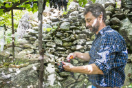 FEATURE - Schweiz: Weinlese im Bleniotal im Tessin Winzer Marco Tavecchio