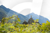 FEATURE - Schweiz: Weinlese im Bleniotal im Tessin 