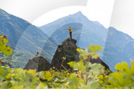 FEATURE - Schweiz: Weinlese im Bleniotal im Tessin 