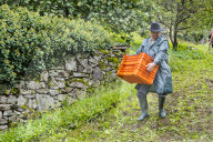 FEATURE - Schweiz: Weinlese im Bleniotal im Tessin 