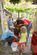 FEATURE - Schweiz: Weinlese im Bleniotal im Tessin 