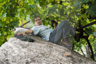 FEATURE - Schweiz: Weinlese im Bleniotal im Tessin 