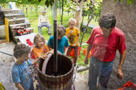 FEATURE - Schweiz: Weinlese im Bleniotal im Tessin 