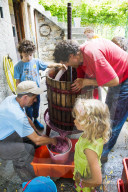 FEATURE - Schweiz: Weinlese im Bleniotal im Tessin 