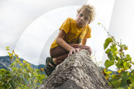 FEATURE - Schweiz: Weinlese im Bleniotal im Tessin 