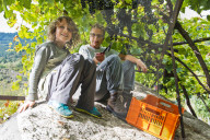 FEATURE - Schweiz: Weinlese im Bleniotal im Tessin 