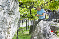 FEATURE - Schweiz: Weinlese im Bleniotal im Tessin 
