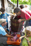 FEATURE - Schweiz: Weinlese im Bleniotal im Tessin 