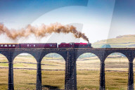 FEATURE - Pix of t Day: Bilder des Tages