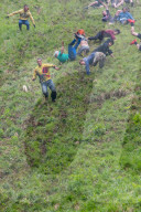FEATURE - Alle Jahre wieder: Cheese Rolling Race in Gloucester