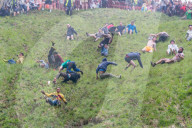 FEATURE - Alle Jahre wieder: Cheese Rolling Race in Gloucester