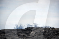 NEWS - Hotspot Hawaii - Land der Vulkane