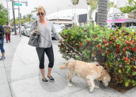 PEOPLE - Nicolette Sheridan geht mit dem Hund Gassi