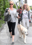 PEOPLE - Nicolette Sheridan geht mit dem Hund Gassi