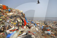NEWS - Umwelt: Die Erde erstickt im Plastikmüll - Strand in Mumbai