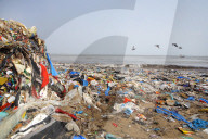 NEWS - Umwelt: Die Erde erstickt im Plastikmüll - Strand in Mumbai