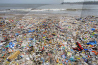 NEWS - Umwelt: Die Erde erstickt im Plastikmüll - Strand in Mumbai