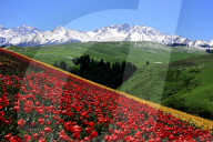 FEATURE - Best of - Bilder des Tages