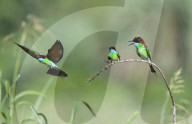 FEATURE - Pix of the Day: Die Bilder des Tages