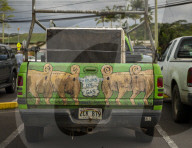 NEWS - Hawaii: Der Vulkan Kilauea kommt nicht zur Ruhe