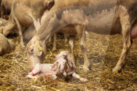 FEATURE - Best of - Bilder des Tages