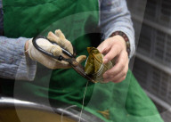 REPORTAGE - China: Reis Dumpling Herstellung