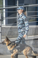 WM 2018 - Russland im Fussball Fieber (Zusammenstellung)