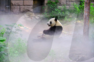 FEATURE - Pix of the Day: Die Bilder des Tages
