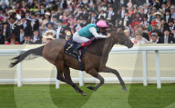 PEOPLE - Die Royals in Ascot am Pferderennen
