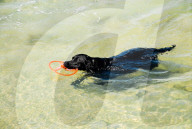 FEATURE - Pix of the Day: Die Bilder des Tages