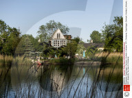 FEATURE - Christiania in Kopenhagen