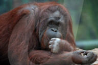 FEATURE - Pix of the Day: Bilder des Tages