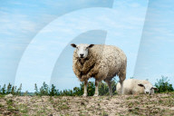 FEATURE - Pix of the Day: Bilder des Tages