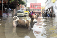 NEWS - Indien: Überschwemmungen in Kalkutta