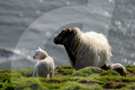 FEATURE - Best of: Bilder des Tages