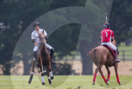 PEOPLE - Polo in Ascot: Prinz Harry macht Dehnübungen
