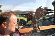 PEOPLE - Tennis: Wimbledon Tag eins und zwei