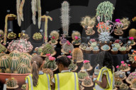 FEATURE - Farben- und Blütenpracht an der Hampton Court Palace Flower Show in London