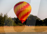 FEATURE - Best of: Die Bilder des Tages