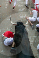 NEWS - Spanien: San Fermin Festival in Pamplona