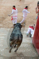 NEWS - Spanien: San Fermin Festival in Pamplona
