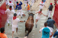 NEWS - Spanien: San Fermin Festival in Pamplona