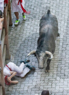 NEWS - Spanien: San Fermin Festival in Pamplona