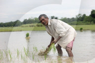 FEATURE - Pix of the Day: Bilder des Tages