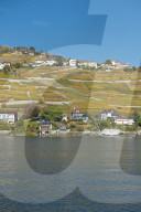REPORTAGE - Genfersee Lac LÃ©man